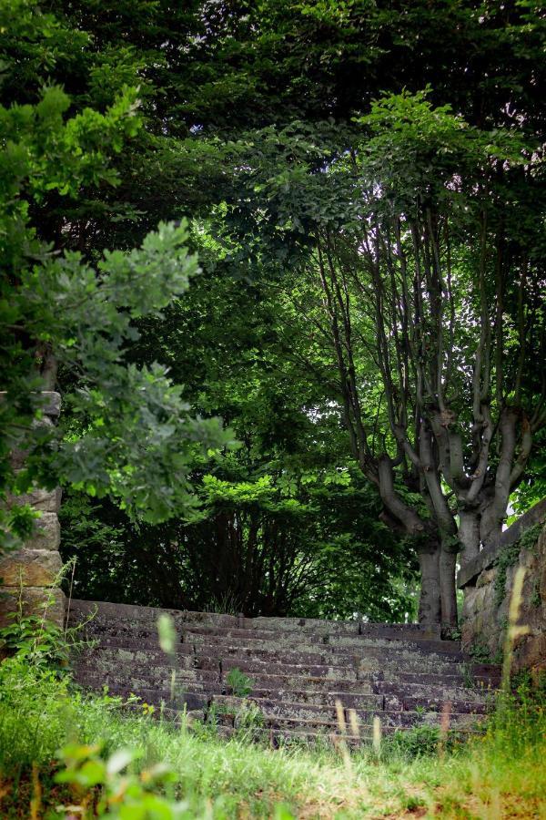 Haus Seeblick Dippoldiswalde Bagian luar foto